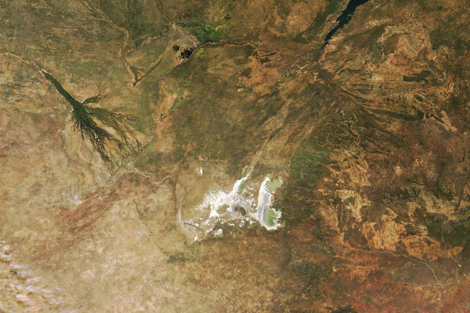 Okavango Delta From Space